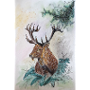 Hirsch Deer