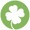 Trèfle vert pour la Saint-Patrick