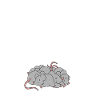 Rat Owner Gift Rats Lover