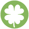 Trèfle vert pour la Saint-Patrick