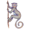 Sifaka