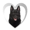 Schipperke Herz - J’aime Schipperke