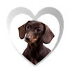 Dachshund - Dog Lovers - Dog Heart