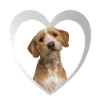 Basset Fauve de Bretagne Herz - I Love Basset