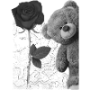 Teddy bear with rose