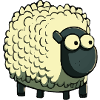 Kakou the sheep