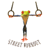 Street Workout