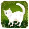 cute cat