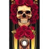 Abstract skull with roses