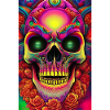 Abstract Skull