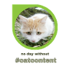 catcontent