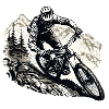 Mountain Bike Downhill