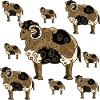 Rams