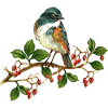 Bunter Vogel