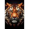Tiger 01
