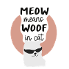 Cool Cat