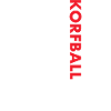 Sport Us Flag Korfball