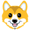 Corgi