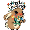Hello Spring
