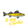 Walleye fischen Zander Angeln