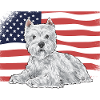West Highland White Terrier Westie