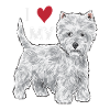 West Highland White Terrier Westie