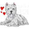West Highland White Terrier Westie
