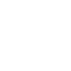 1963 Limited Edition