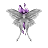 Moth & Crystal