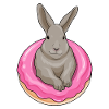 Rabbit Donut