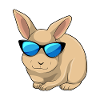 Rabbit Sunglasses