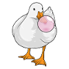 Duck chewing gum