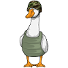 Ente Soldat Helm