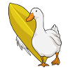 Ente Surfer Surfbrett