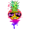 Funny Retro Pineapple