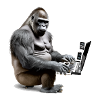 Hago the gorilla musician