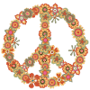 Hippy