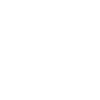 Roller Coaster Thrill Seeker