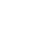 Roller Coaster Enthusiast