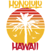 Hawaii Honolulu Palm Ocean Surfing