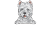 West Highland White Terrier Westie
