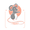 Rat animal Rat rodent