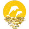 DOLPHINS PLAY