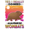 Wombat gave