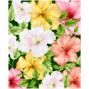 Coconut Girl Aesthetic Hibiscus Pattern