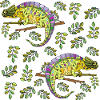 Chamäleons