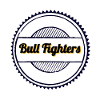 Bull Fighters