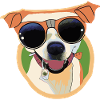 Cool dog with sunglasses