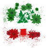 Woman Life Freedom, Flowers,Iran,Flag