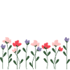 le jardin de mamie